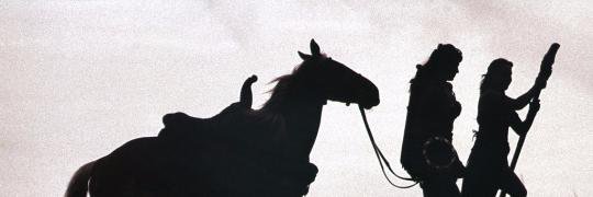 né não tchamilena? 🧙🏼‍♀️🍴🐉🧬 banner