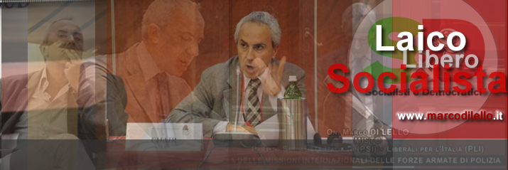 Marco Di Lello banner