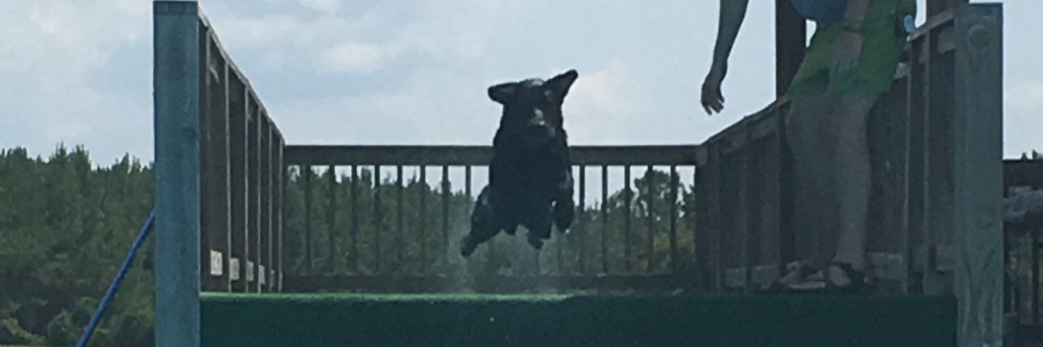 cmonay5's profile banner image
