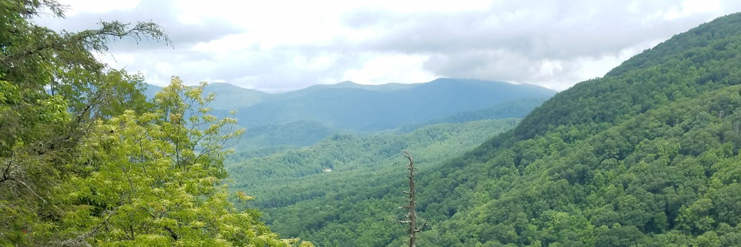 AlanKinlaw's profile banner image