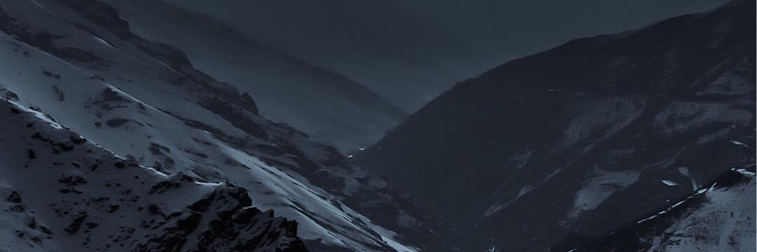 anthony palos banner