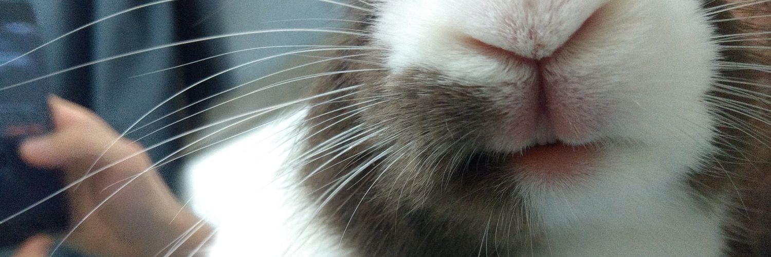 KarinKipler's profile banner image