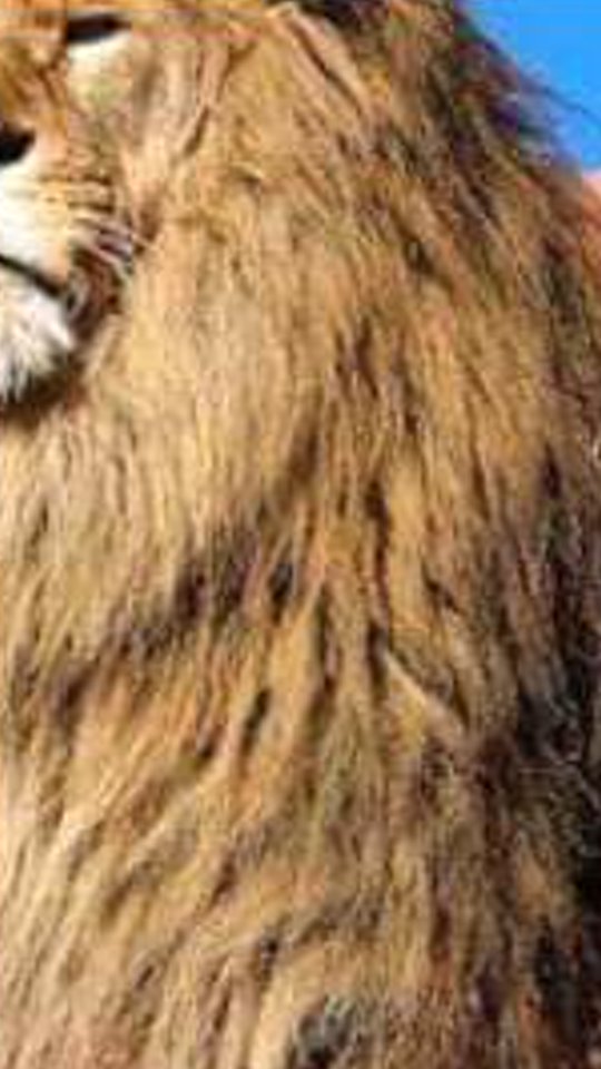 kronos645's profile banner image