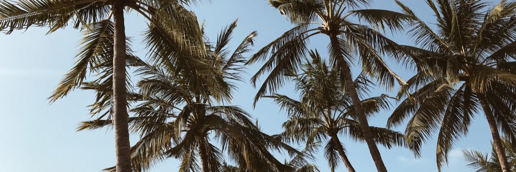 priiisssy's profile banner image