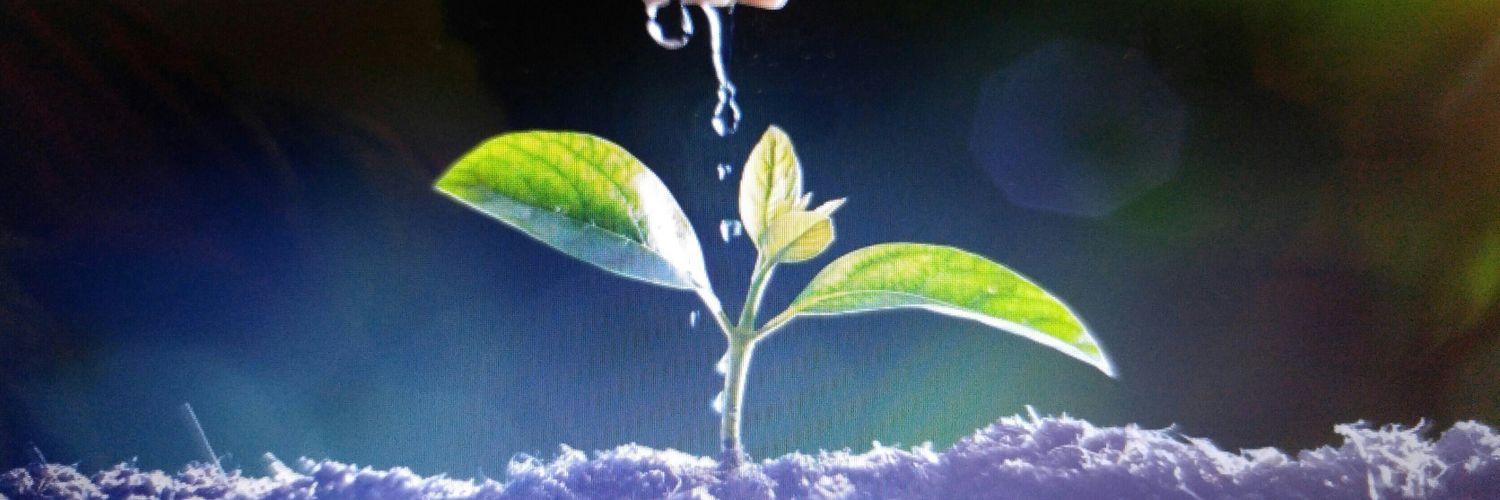 Life_Learner's profile banner image