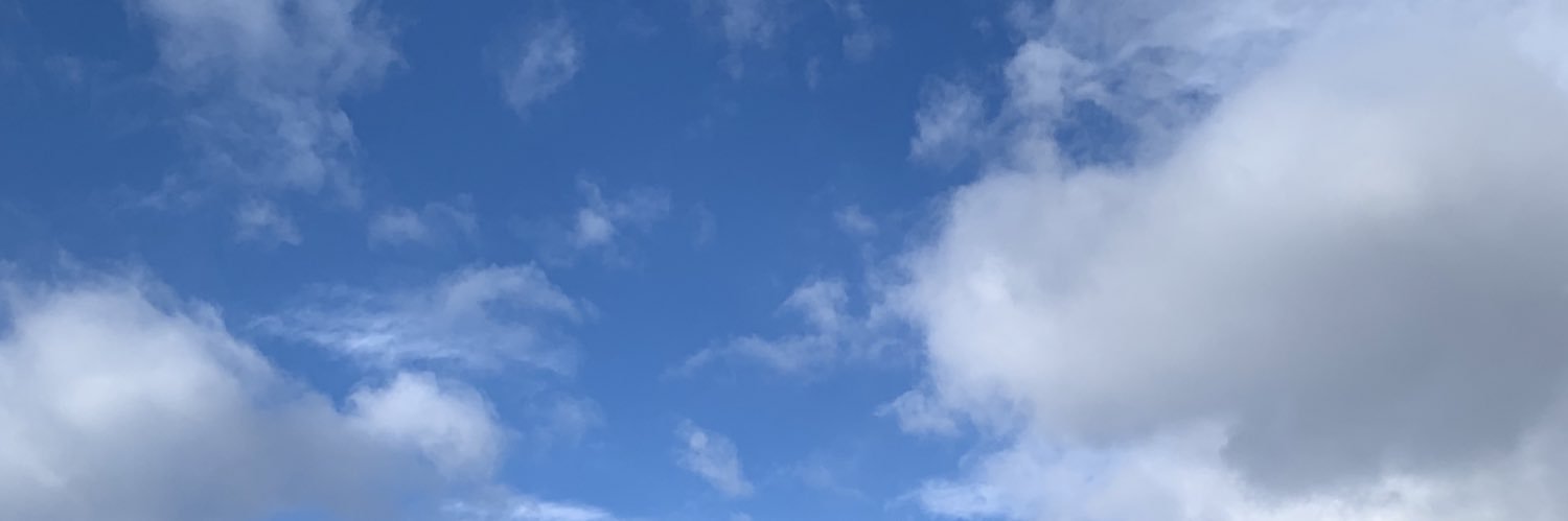 MaggieRay29's profile banner image