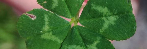 Yhar47 Profile Banner