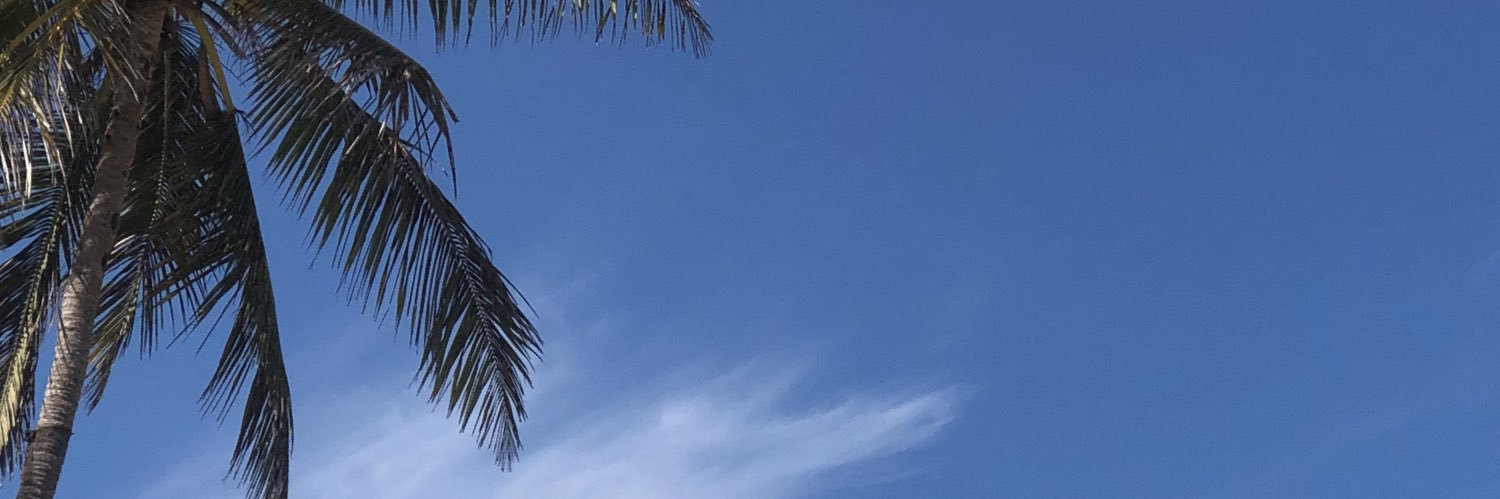 Inova  Peralta banner