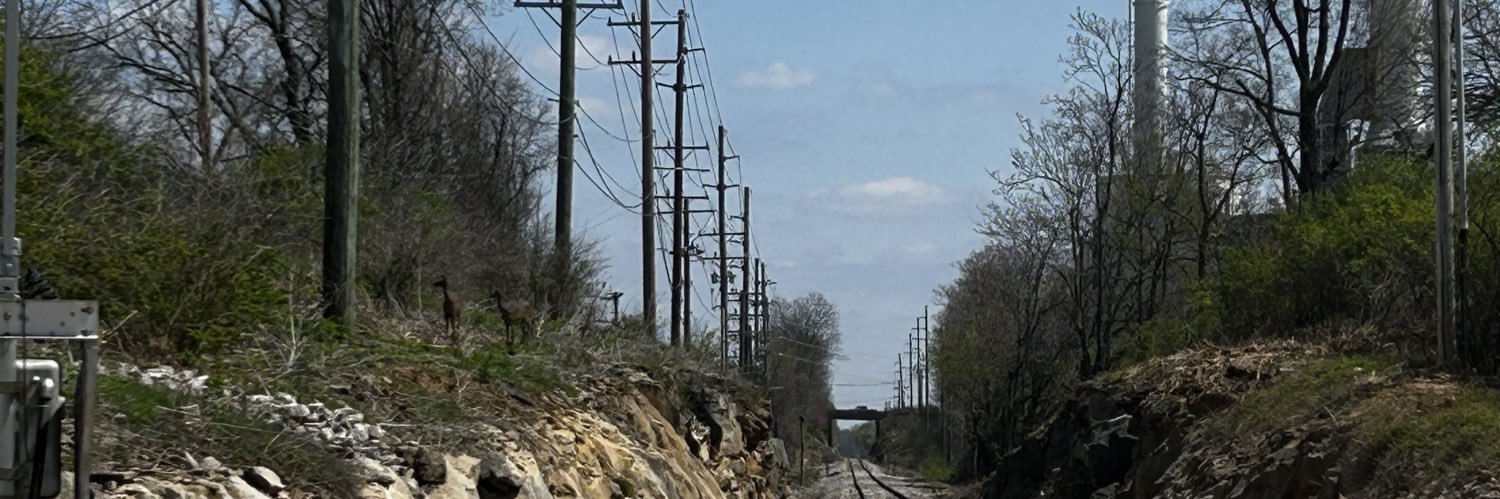 Lorem Ipsum… banner