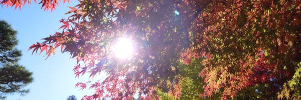 VIXENsPhoto Profile Banner