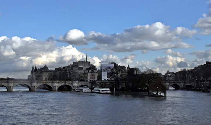 Giulia Fracassi banner