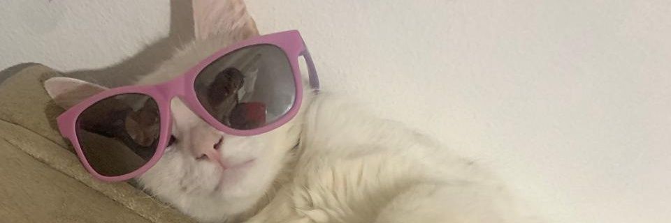 nharryme's profile banner image
