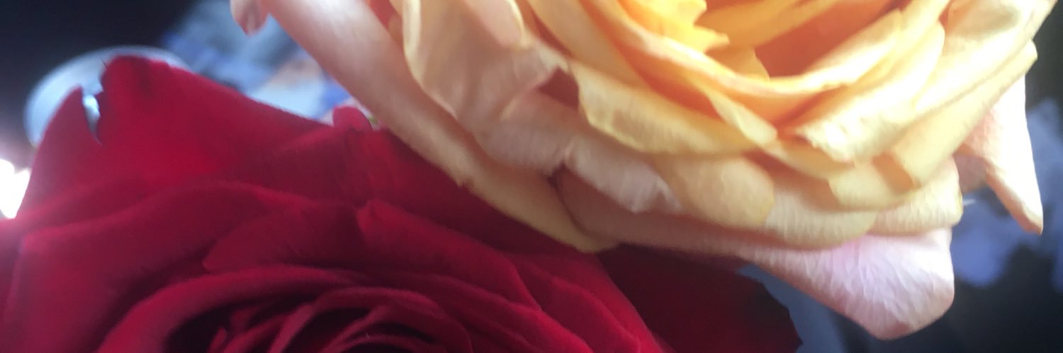 YoSkrippaName's profile banner image
