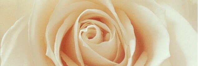 LeratoTaole's profile banner image
