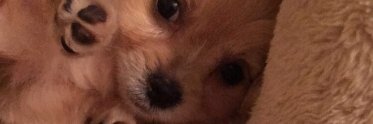 meagannotmegan_'s profile banner image