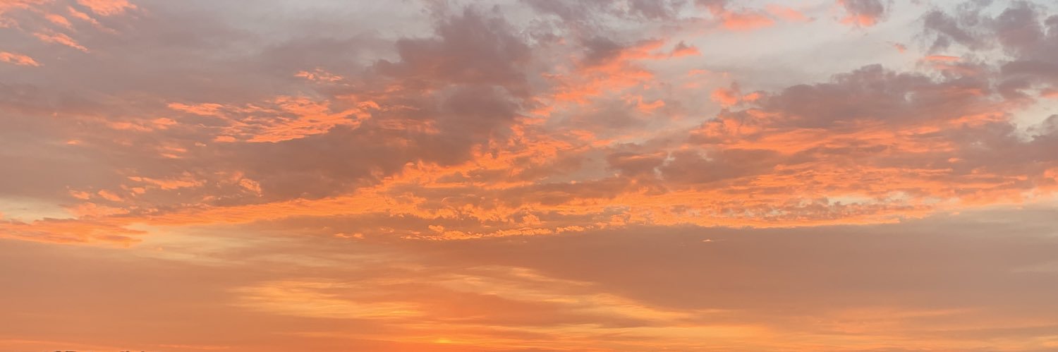 doomedsunflwr's profile banner image
