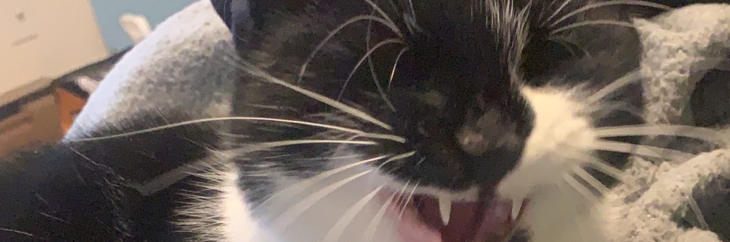 cmdavis_4's profile banner image