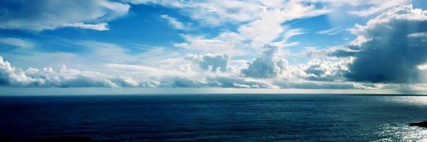 quarkinsen Profile Banner