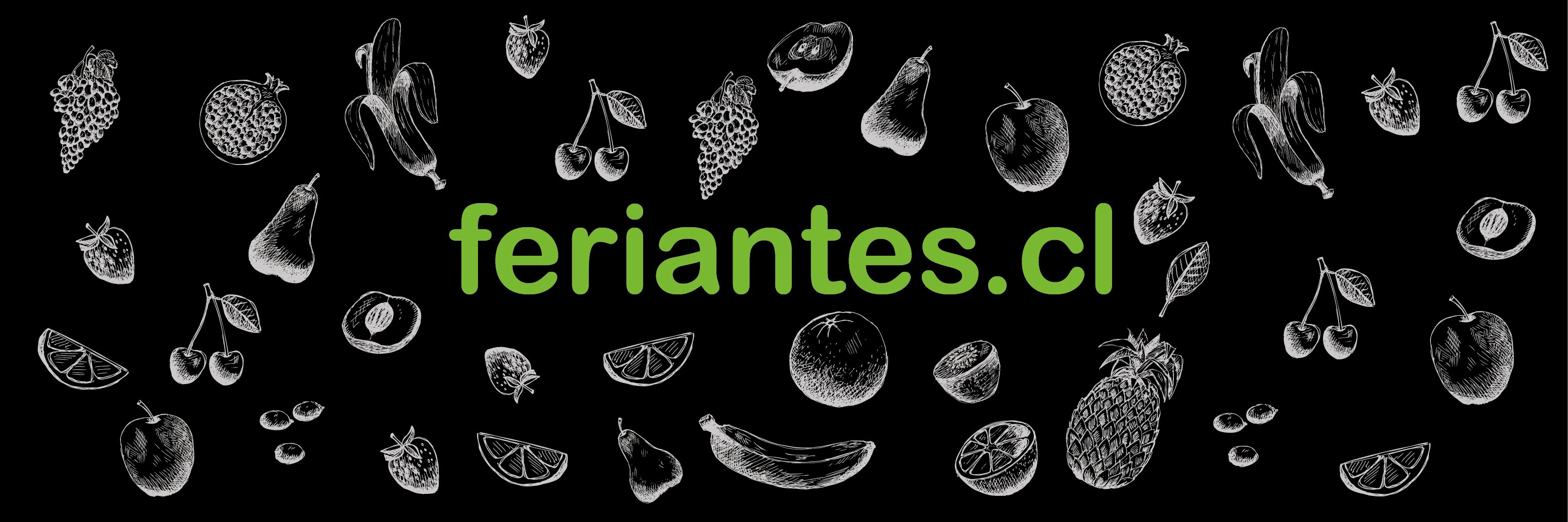 FeriantesCL's profile banner image