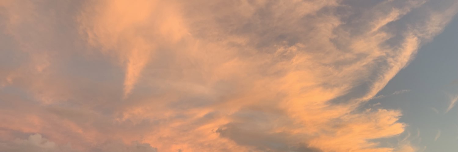 sarahwicks22's profile banner image