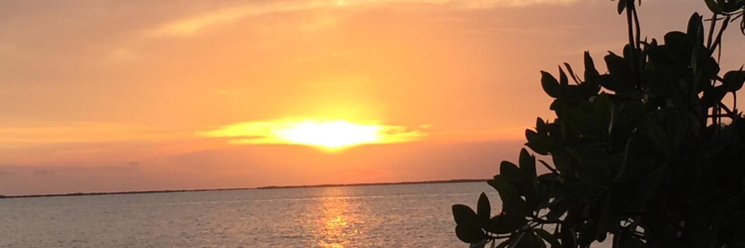 Lordishope's profile banner image