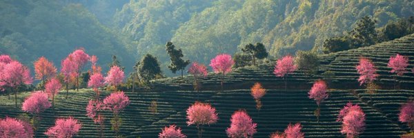 fnxconnor Profile Banner