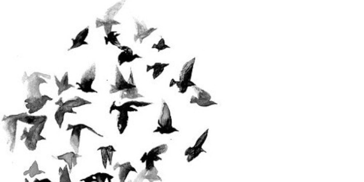 Ru2a_m's profile banner image