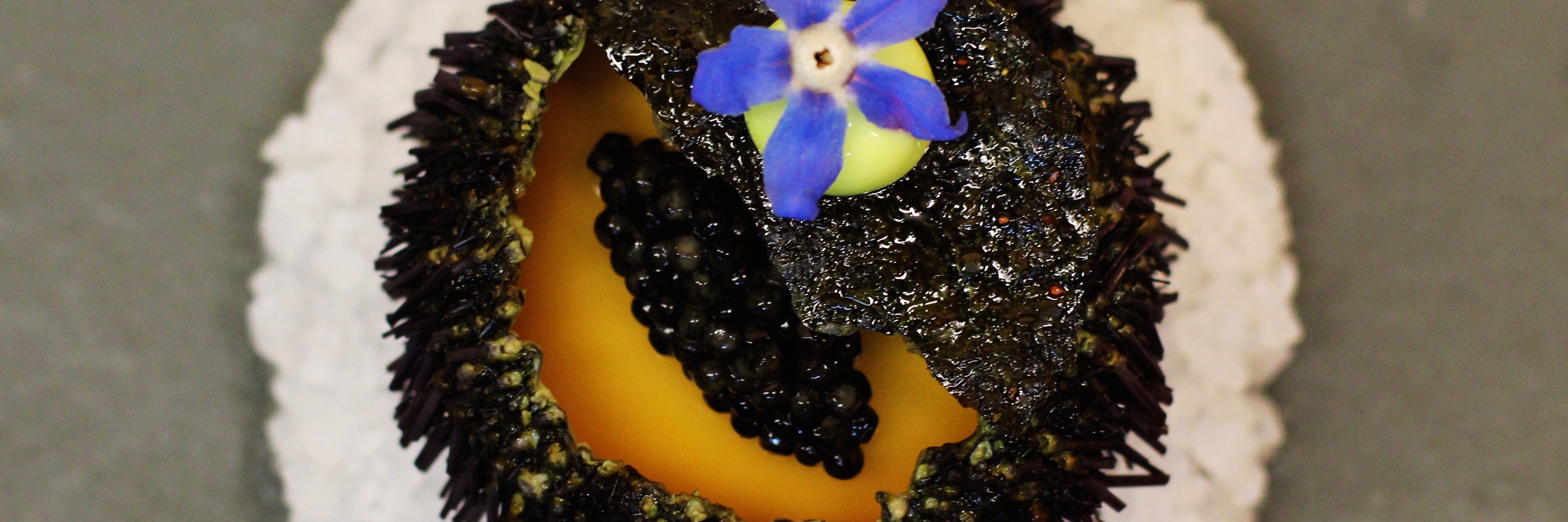 Simon Petutschnig banner