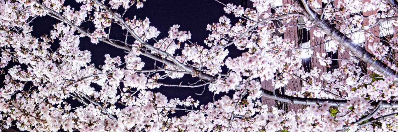fkylr's profile banner image