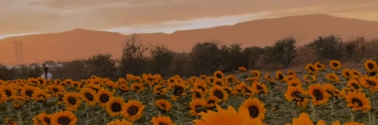 AbyTolay's profile banner image