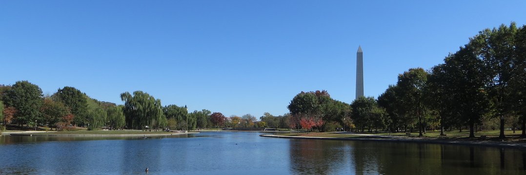 Kyle Michel Sullivan: I hate the MAGAt Cult 🦅 banner