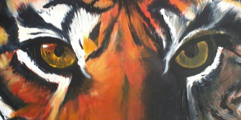 akellier75's profile banner image