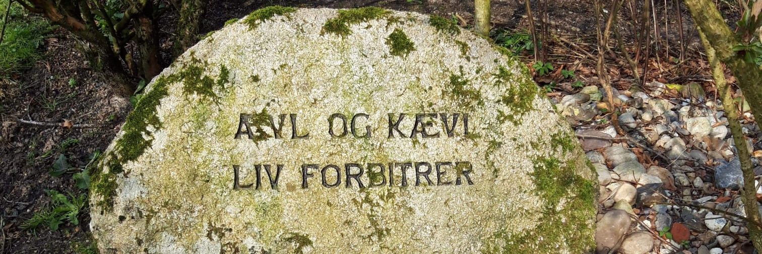 PSalkvist's profile banner image