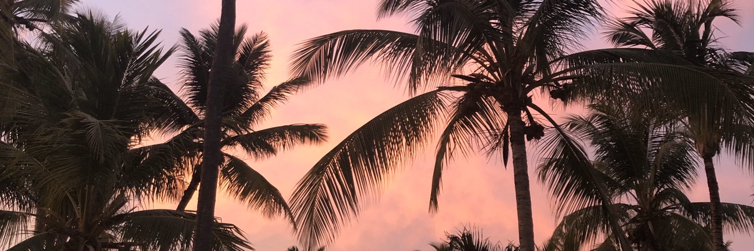 k_ording's profile banner image