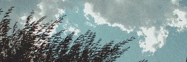 bruvib's profile banner image
