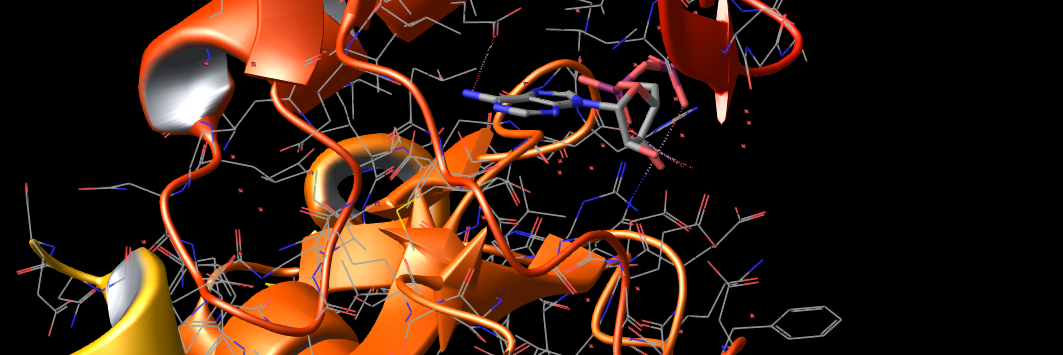 ipharma's profile banner image