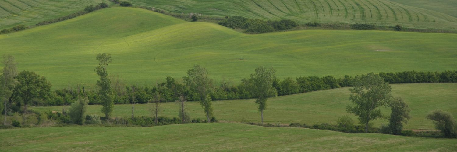 Marcin banner