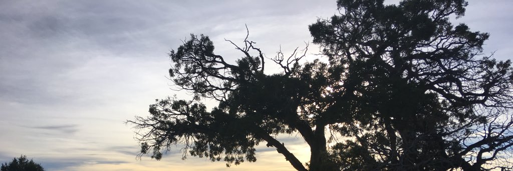 michael_cerna's profile banner image