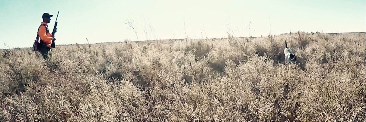 ColbyBehne's profile banner image