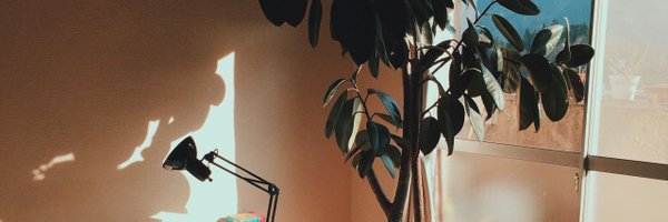 CritiqueTout Profile Banner