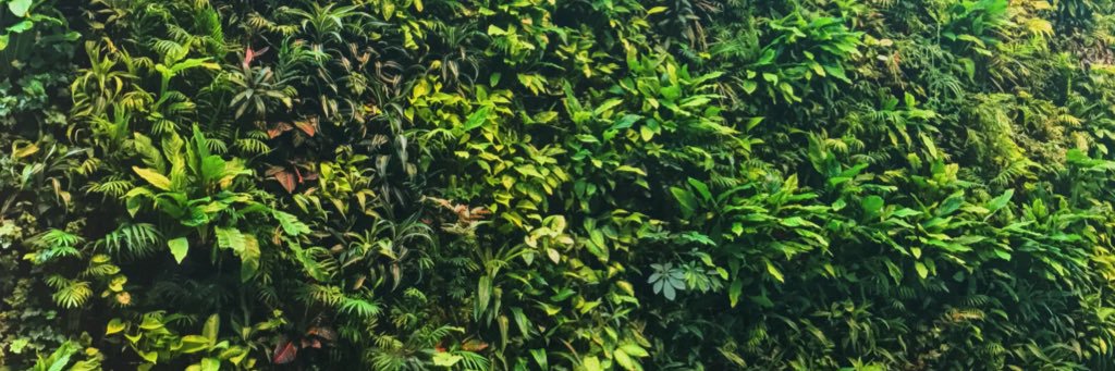 elizabethdancee's profile banner image