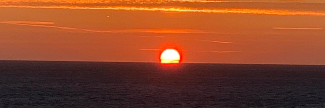 ngeorgiev458's profile banner image