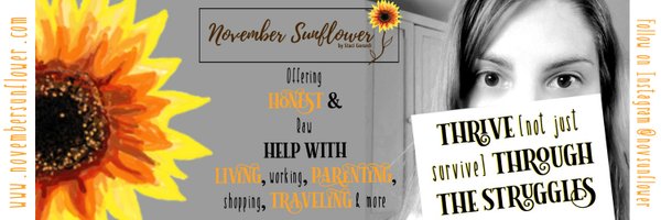 novsunflower Profile Banner