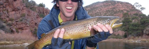 rising3474 Profile Banner