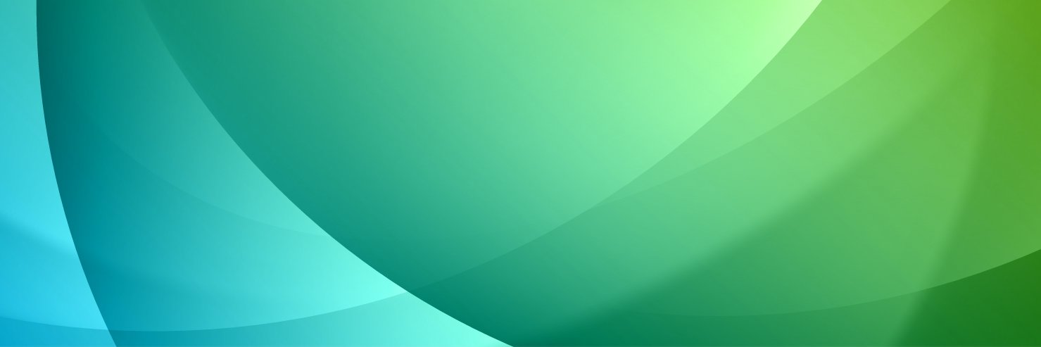 Avinus Web Services banner