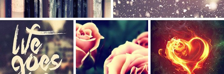 annielbreau's profile banner image