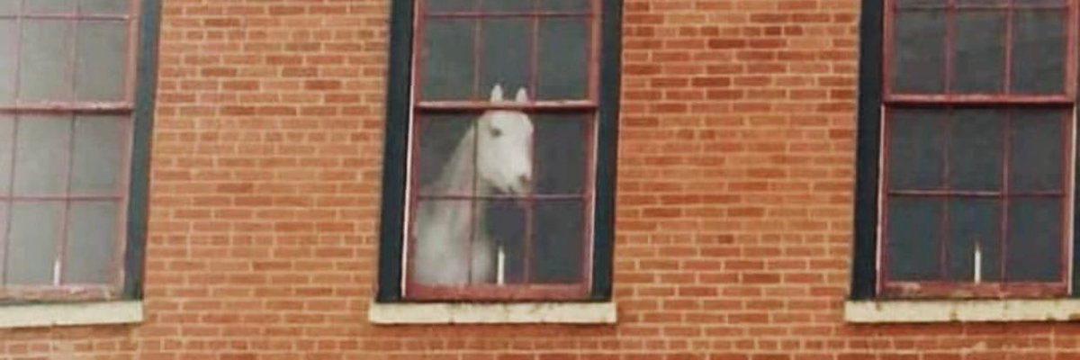 Bruno Correa 👀 banner