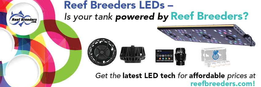 ReefBreeders's profile banner image