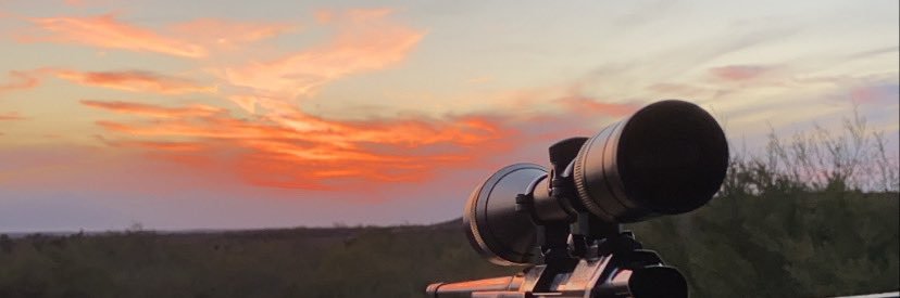 nepo1's profile banner image
