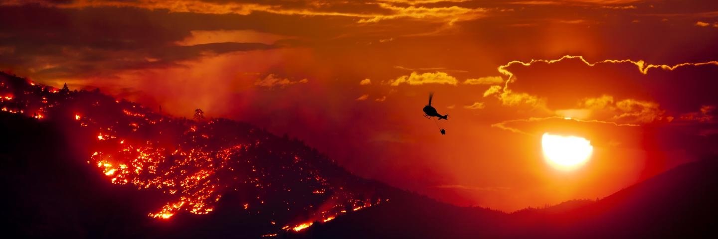 anonymus's profile banner image